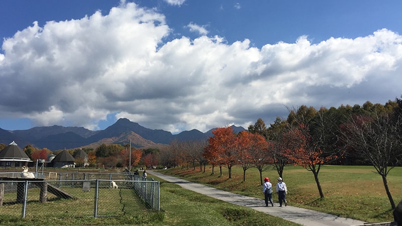 農業実践大学校の芝生広場